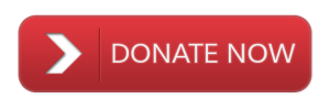 donate-button-png